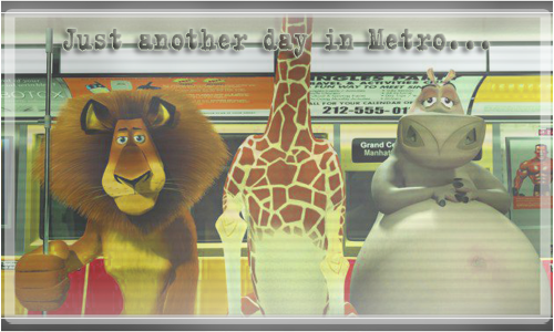 tLjN9T1.png