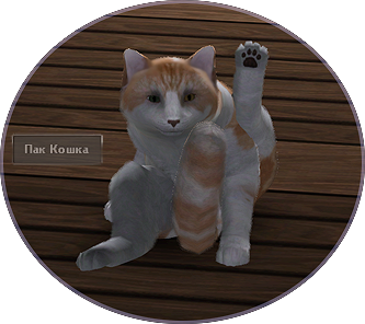 WhRLQ.png
