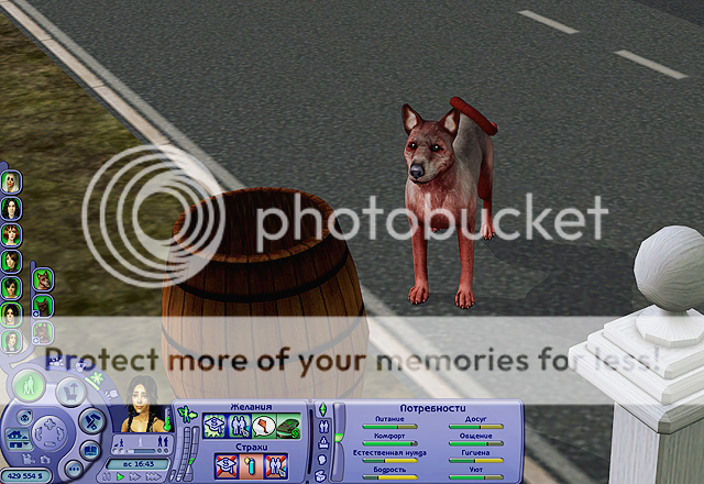 12-10.png
