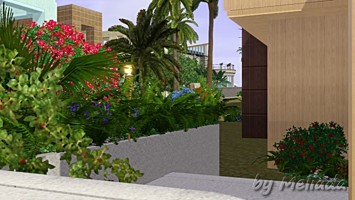 0_ae8b0_79dac457_orig