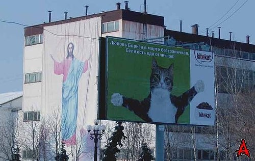 smeshnie_kartinki_1321455244.jpg