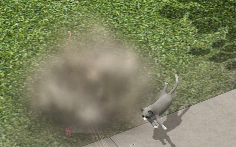 MkgmQFx.jpg
