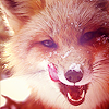 676d76529ce7ad80ebf4af8624fc55c5.png
