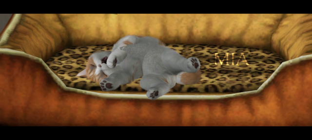 1d346f59be3cc05e38d10d0cdf9af269.png