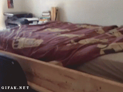 tumblr_mt9itbty6u1sa46dqo1_400.gif