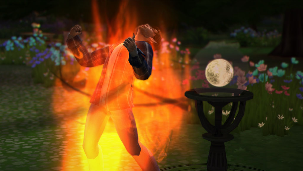 4wfJSbV.jpg