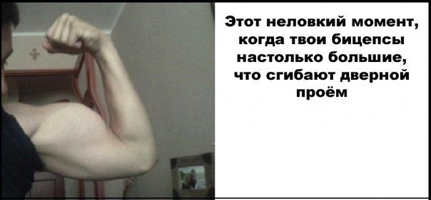 x_8d837074.jpg