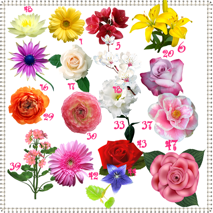 2928327dcff95c3da034edad75523096.png