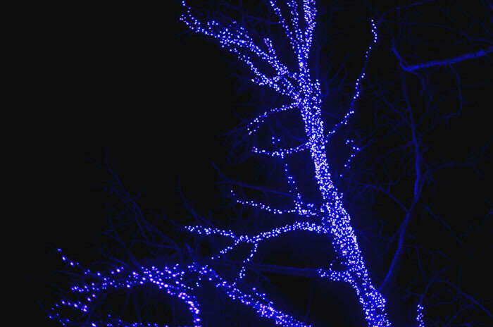 0_1660fd_17660b78_XL.jpg