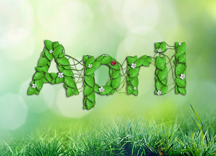 0_19c955_c5ebfcb2_orig.png