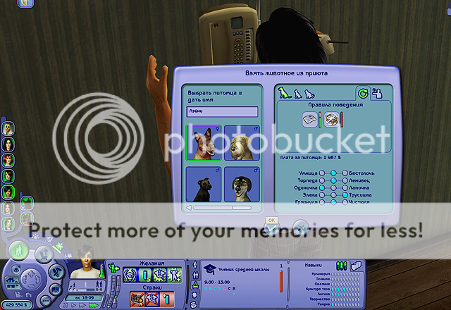 11-11.png