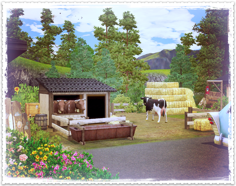 add47457bcefb7d8c76a89f797c5610a.png