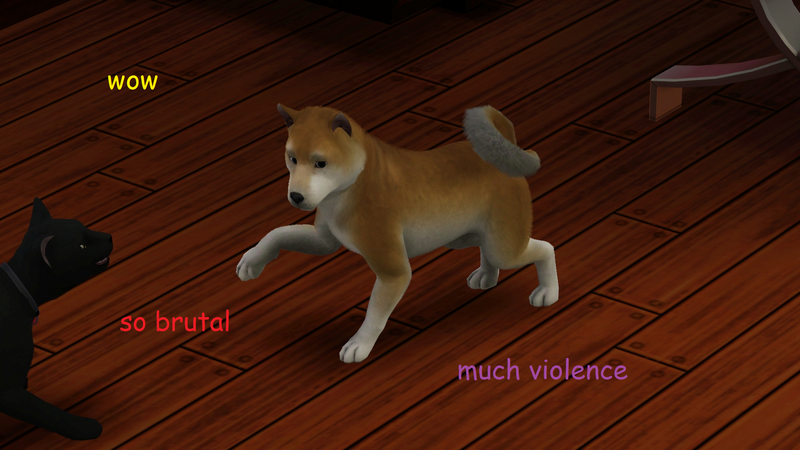 P53vlR5.png