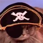 4.gif