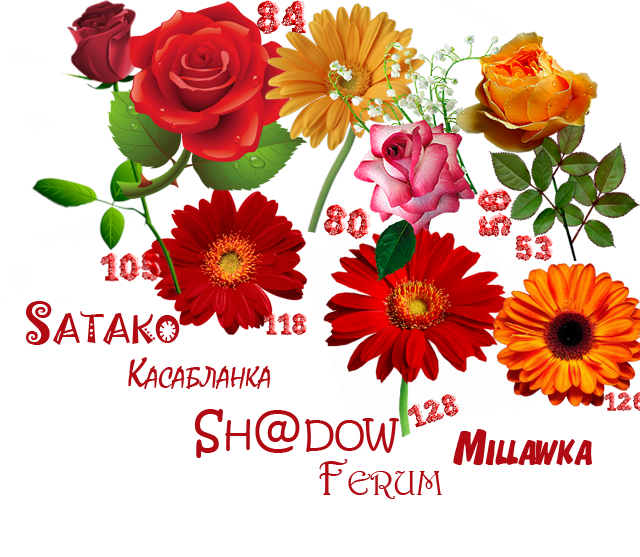 1138a49921c970c4e25e142592fa0912.png