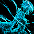 5be92f6ac56ee81b8eff1118b759fe5b.png