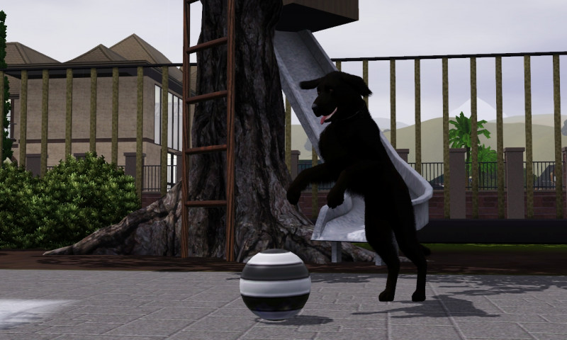 c3d90bebcd661e76e0e7bc4eef544010.jpg