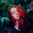 0_19849f_9318353c_orig.jpg