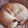qmdioL0.png
