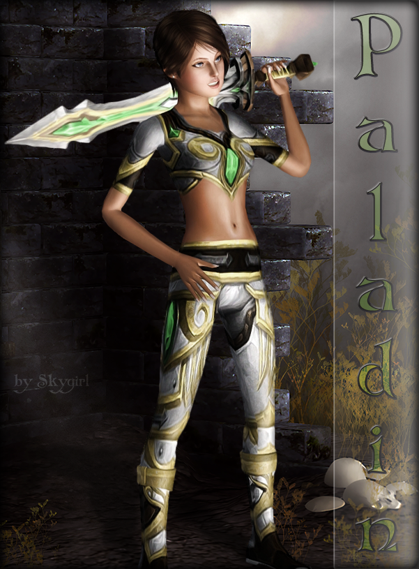 Paladin.png