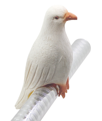 IrWo284.png
