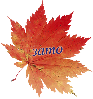 0_153c1f_b046240a_orig.png