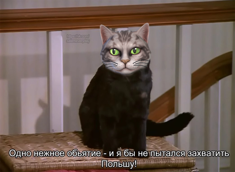 InCDVq0.png