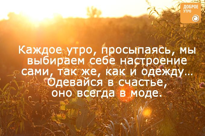 u_dca92c1a8f62d90ec08083553985d565_800.jpg