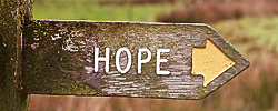 13721d5f85b7b34bd567a439afba096d.png