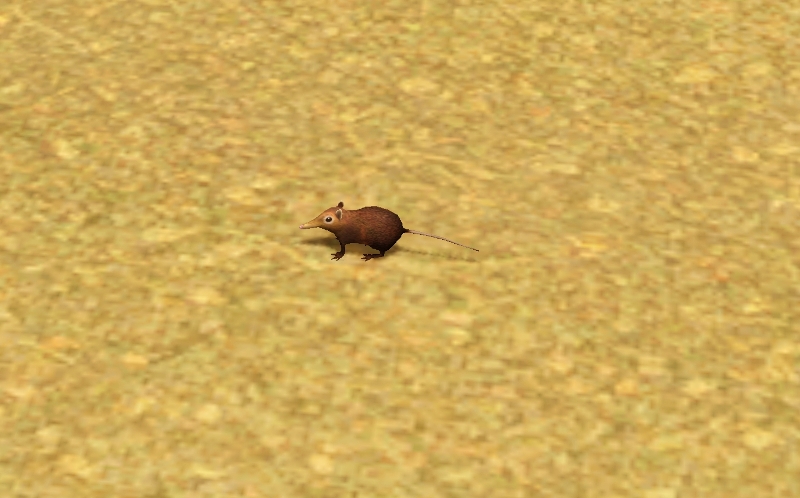 WK2IGnh.jpg