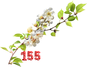 0_fb409_8e3c242f_M.png
