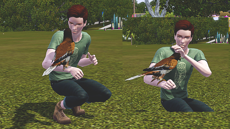 xJi7ogR.png