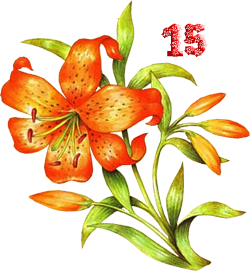 0_fb37d_1ad57638_M.png