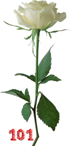 0_fb3d3_e9864148_M.png