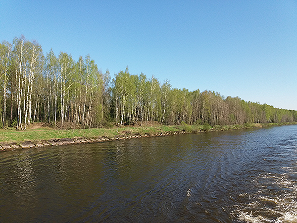 7ZnO26a.png
