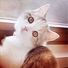 7b82672aecc040724c2c1d6529a5a8e3.png