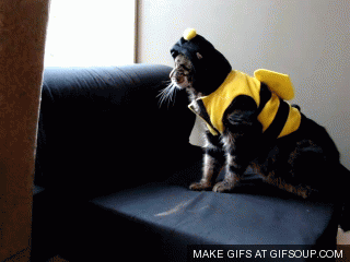 13498174065621.gif