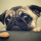e9526c7fc749b6df688a1ab2a64450f3.png