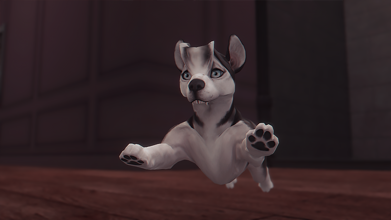 KuJjY0Y.png