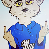 paY6F.png