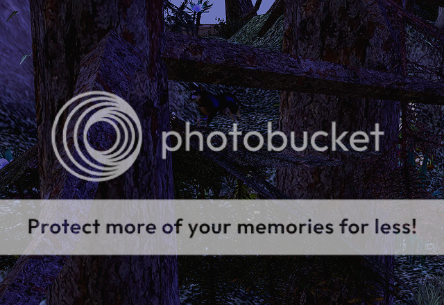 35.png
