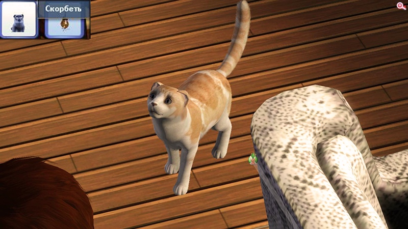 Tnpo_zSGvtE.jpg