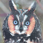 2236030cb4881d2ec95e3ce6ec8a25a4.png
