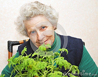 granny-behind-bouquet-thumb15527251.jpg