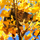 0_e1765_bd43b29c_orig.jpg