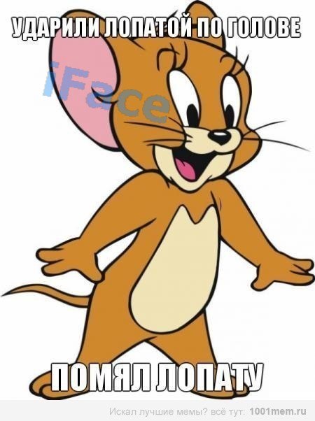D-iQYhgWHD0.jpg