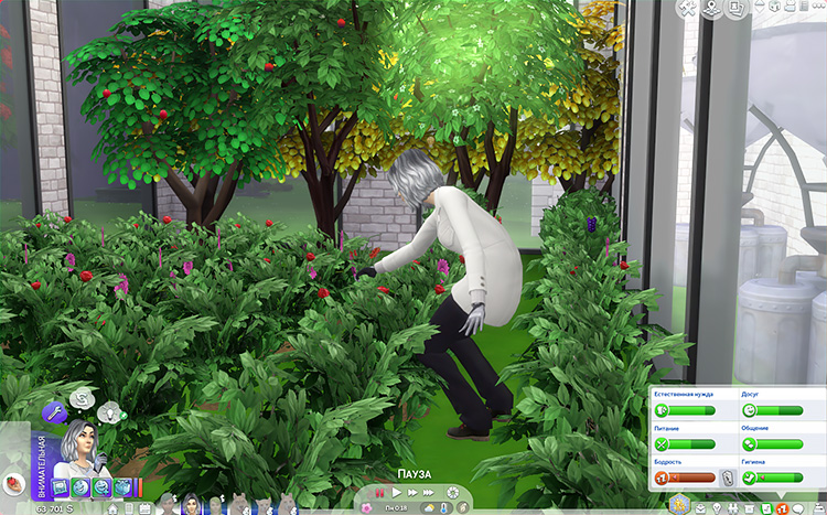 TS4-x64-2021-03-10-21-22-58-00.jpg