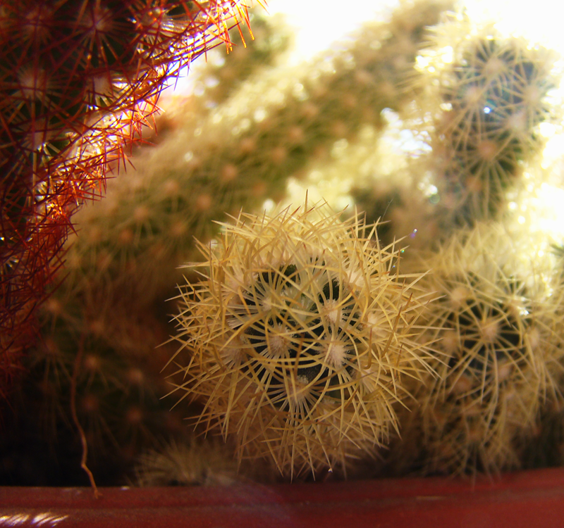 0_1a7b6d_12997d0b_orig.png