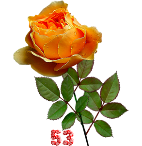 0_fb3a3_e28c2d9c_M.png