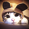 0d73bb904f89558857e8935ef9dede7d.png